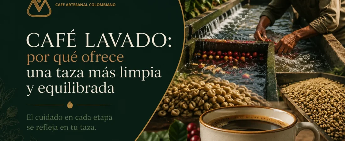 Café lavado: por qué ofrece una taza más limpia y equilibrada